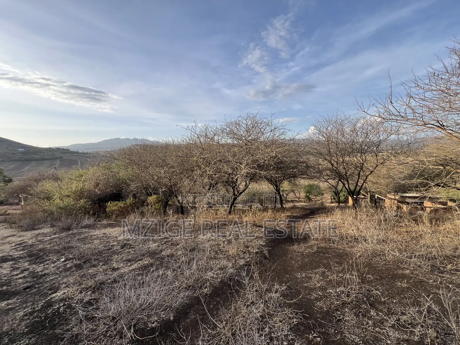 Opportunity: 5-Acre View Plot in Ngaramtoni for Sale.