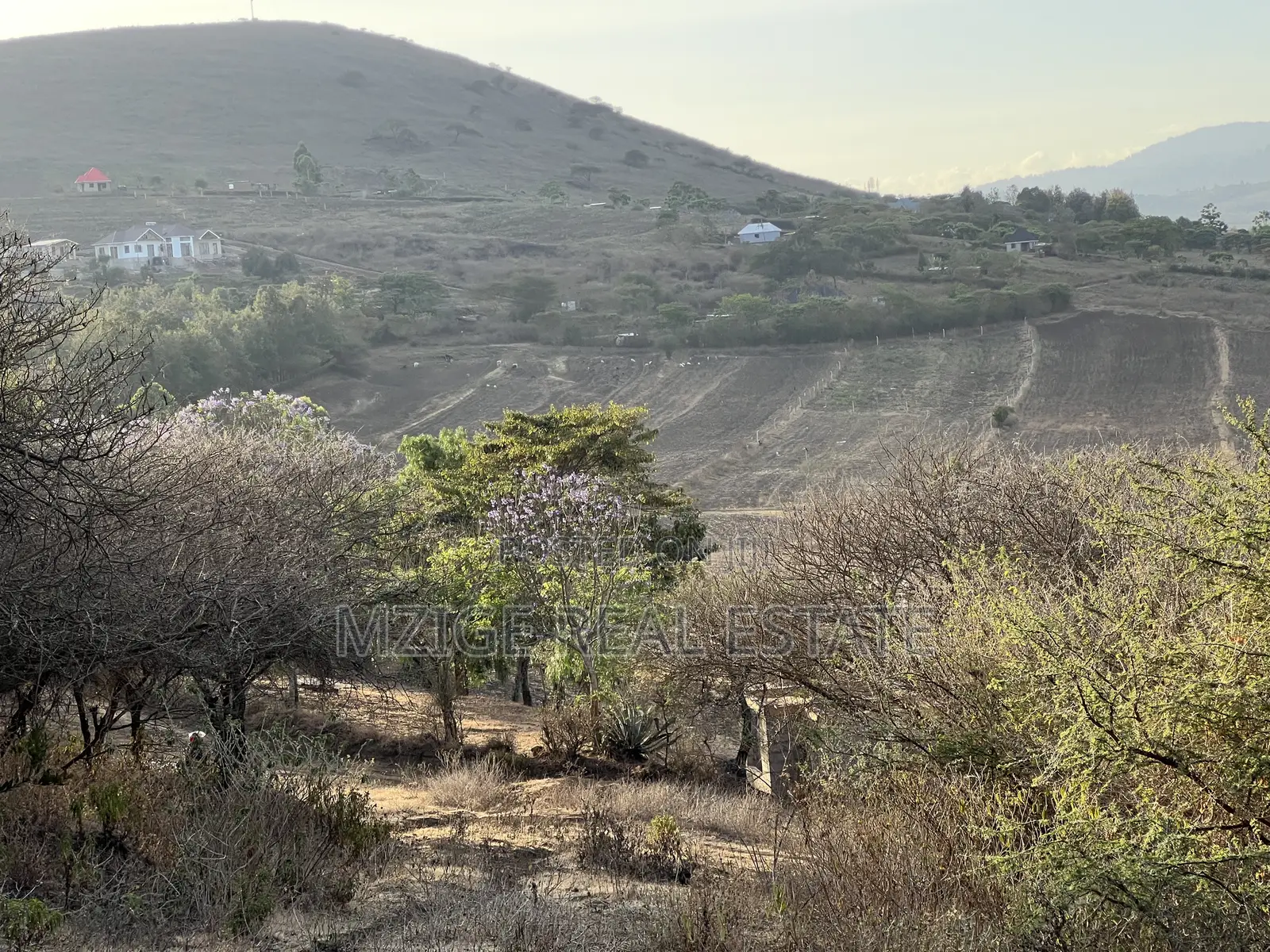 Opportunity: 5-Acre View Plot in Ngaramtoni for Sale.