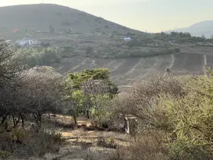 Opportunity: 5-Acre View Plot in Ngaramtoni for Sale.