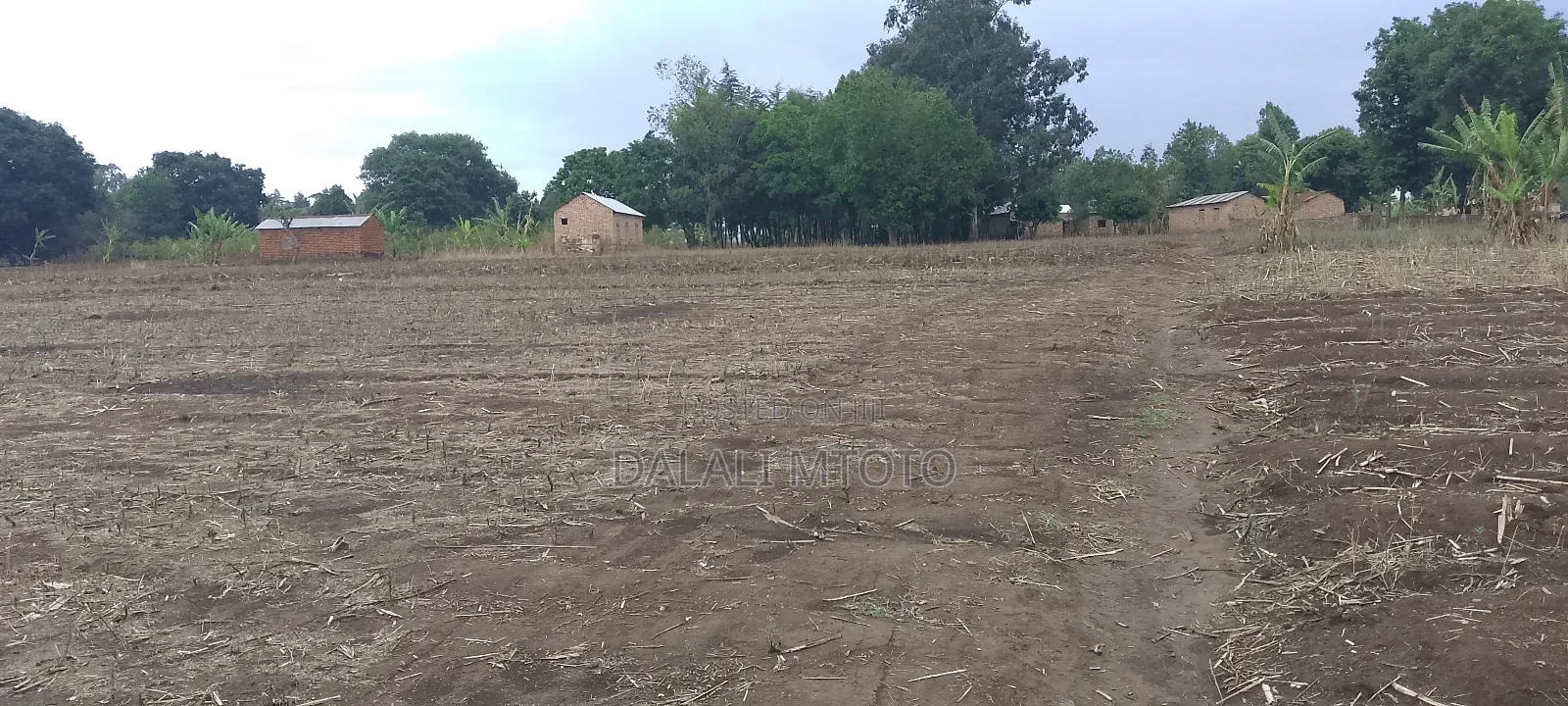 Viwanja Vinauzwa Vwawa, Songwe.