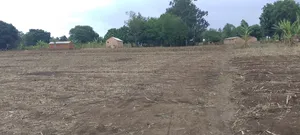 Viwanja Vinauzwa Vwawa, Songwe.