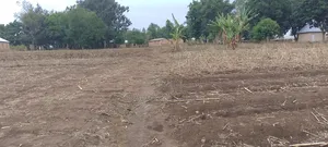 Viwanja Vinauzwa Vwawa, Songwe.