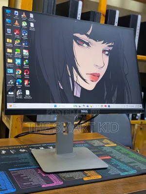 Dell's World Class Screen Performance " U2415b