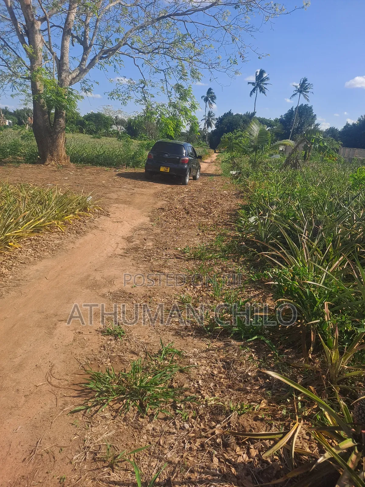 Kiwanja Kinauzwa Kipo Kiwangwa Bagamoyo Pwani