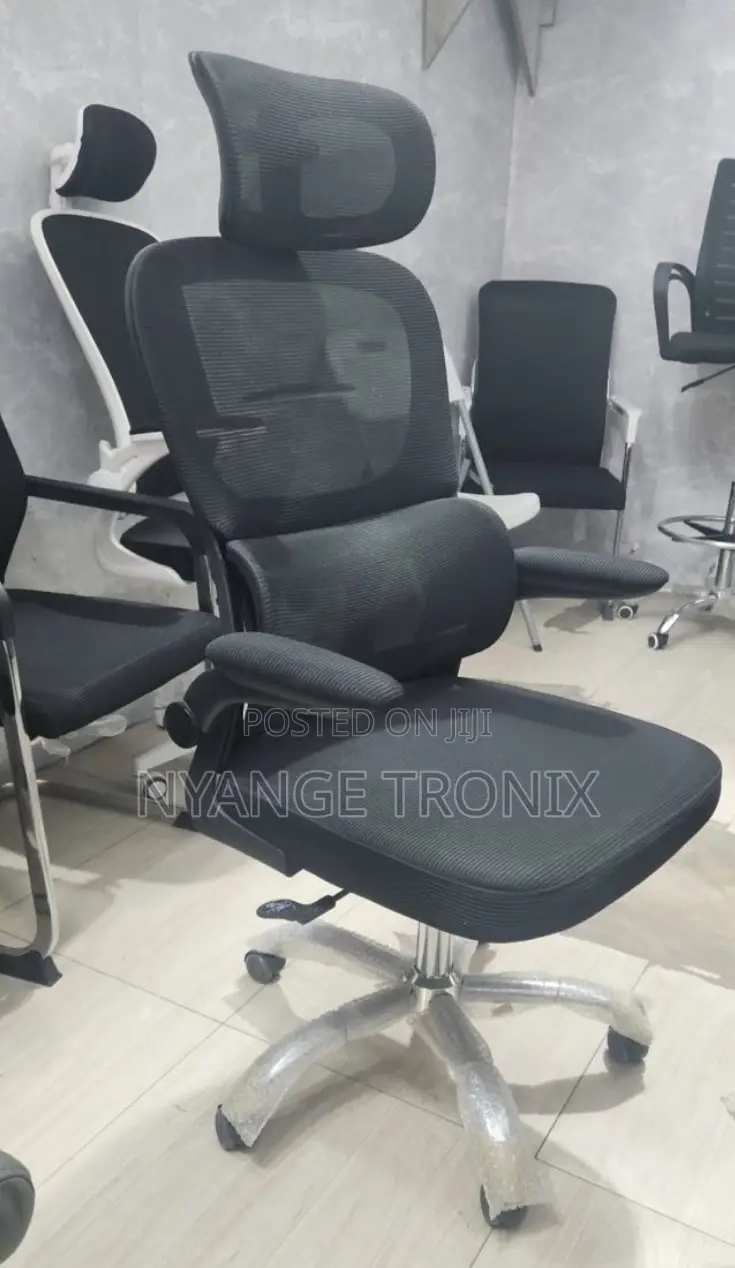 Executive Office Chair