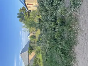 Plot Inauzwa Kigamboni