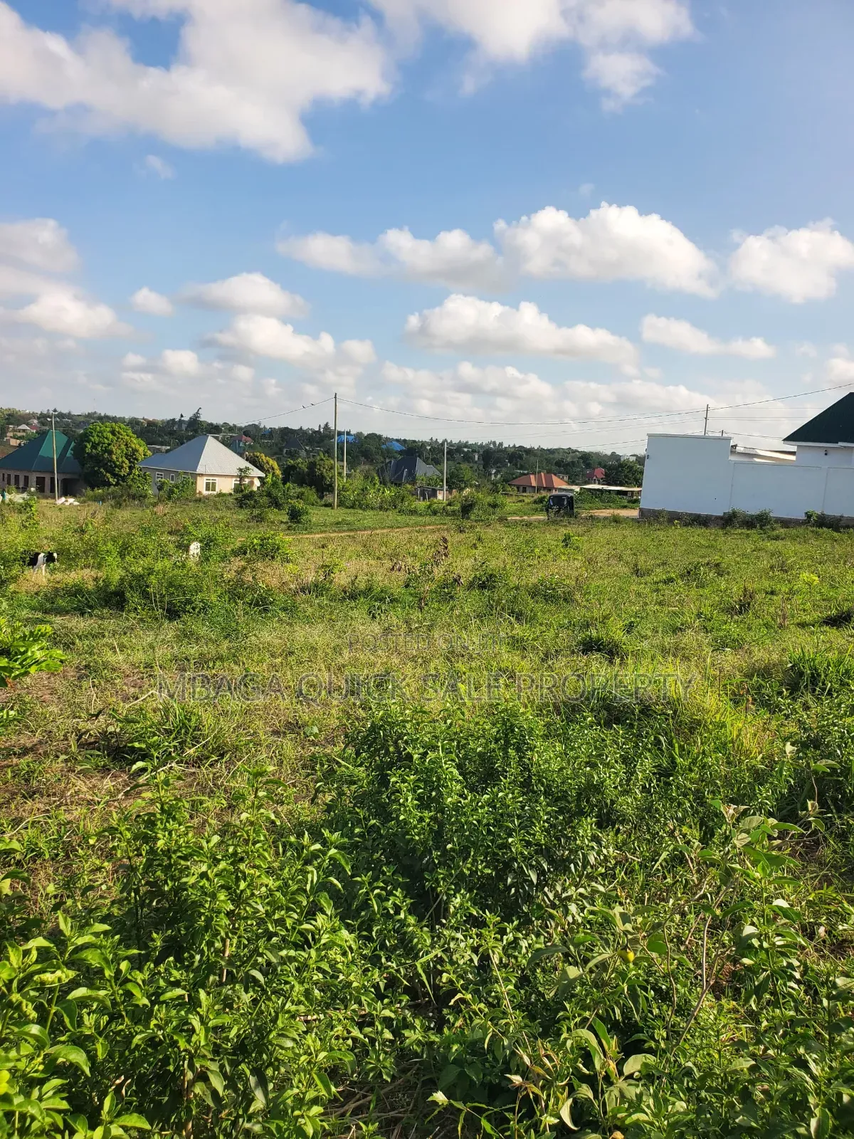 Plot for Sale at Madale Mbopo
