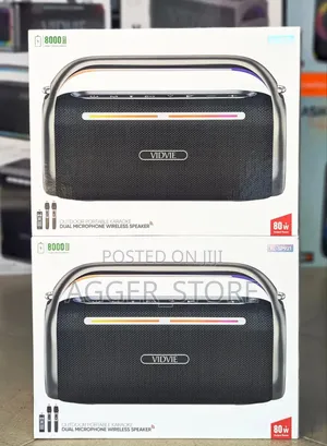 Vidvie Outdoor Portable Karaoke Dual Microphone Speaker