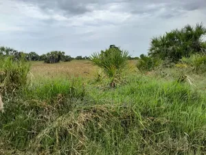 Mwasonga Plot for Sale 3 Million