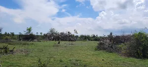 Mwasonga Plot for Sale 3 Million