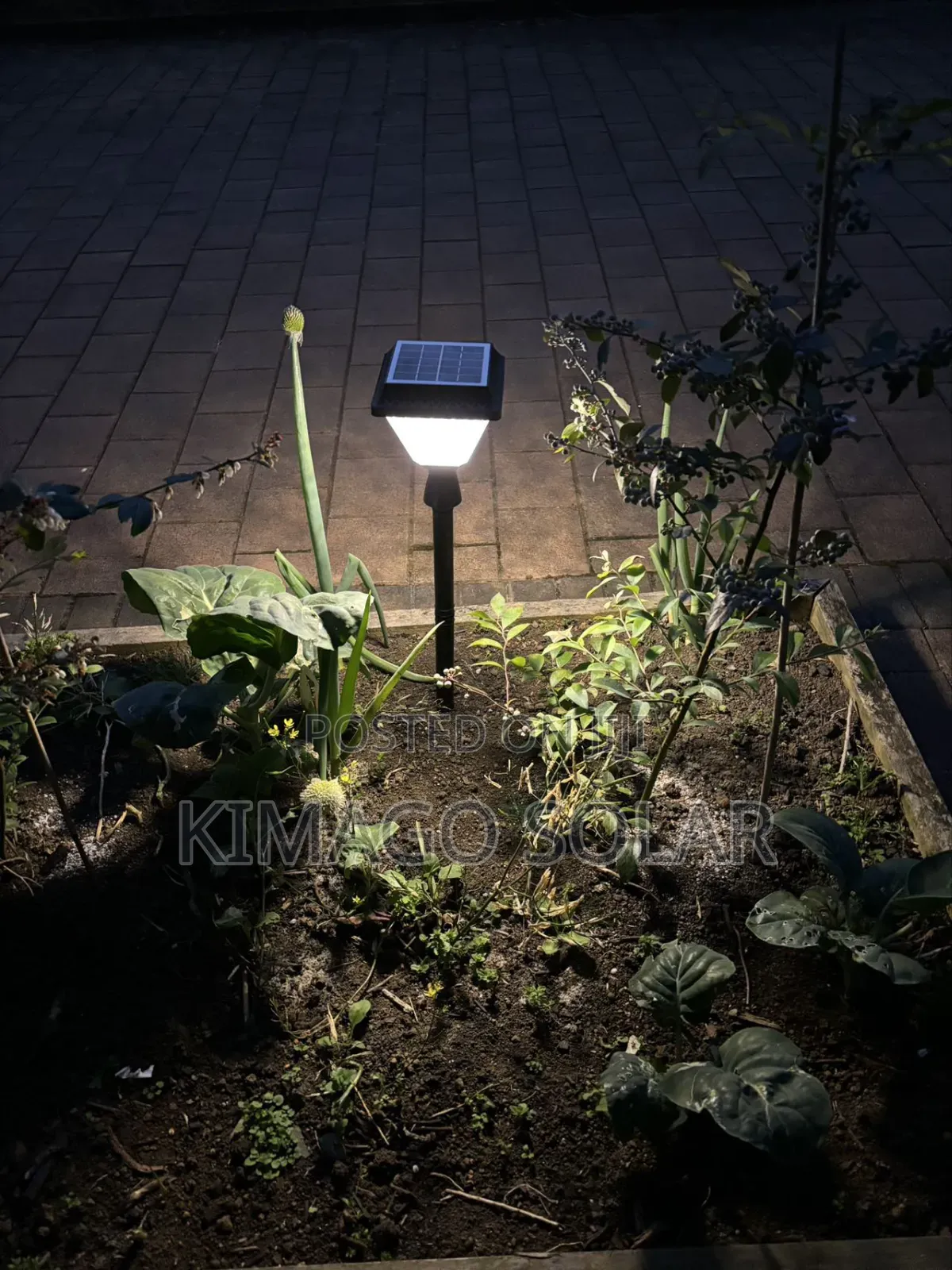 Waterproof Multi Color Solar Garden Lamps for Hotel Landscaping