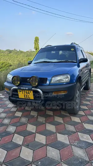 Toyota RAV4 1994 Blue
