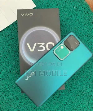 New Vivo V30 5G 256 GB