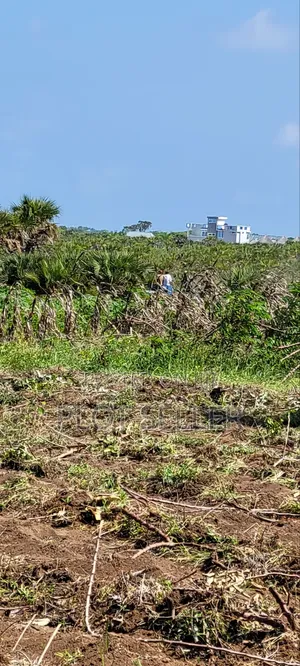 Plots for Sale Mbutu Amani Gomvu
