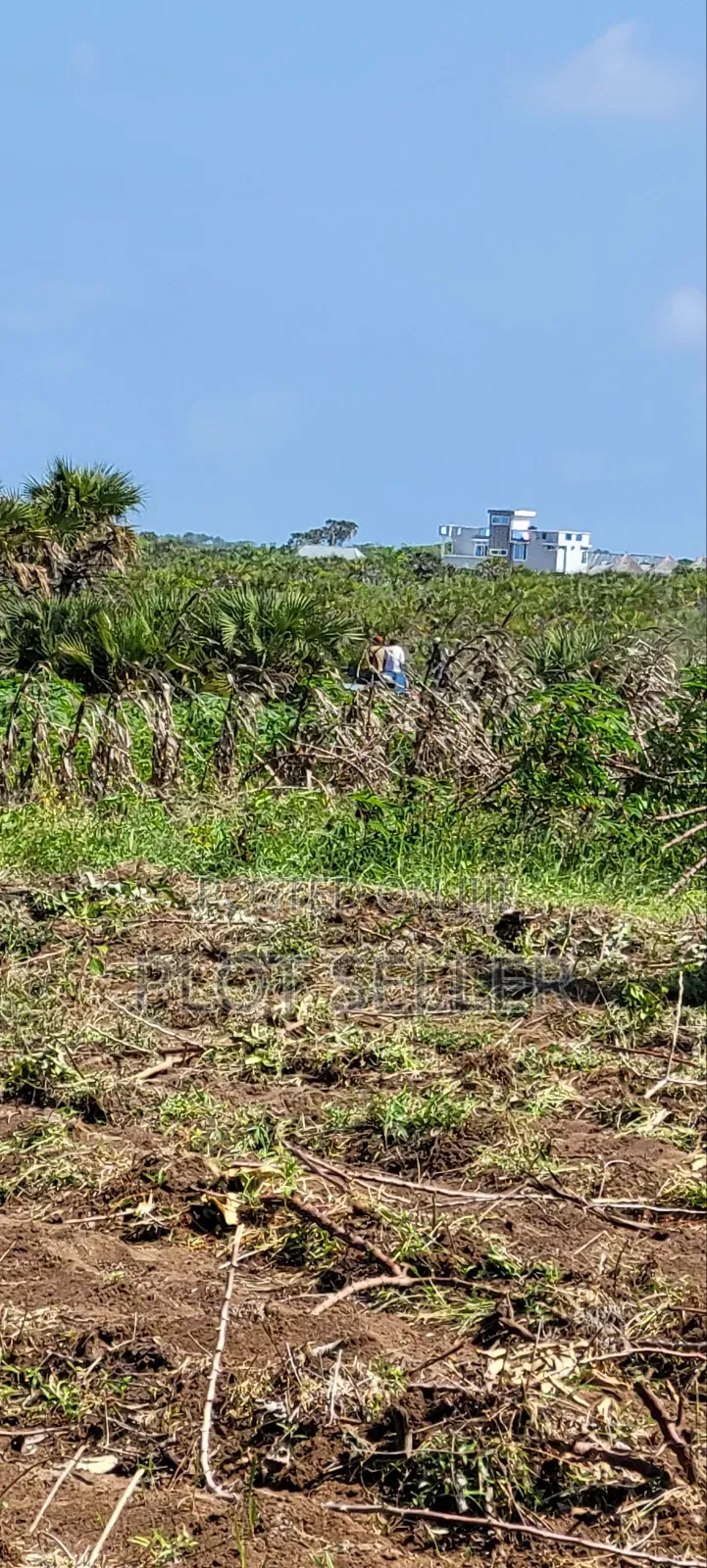 Plots for Sale Mbutu Amani Gomvu