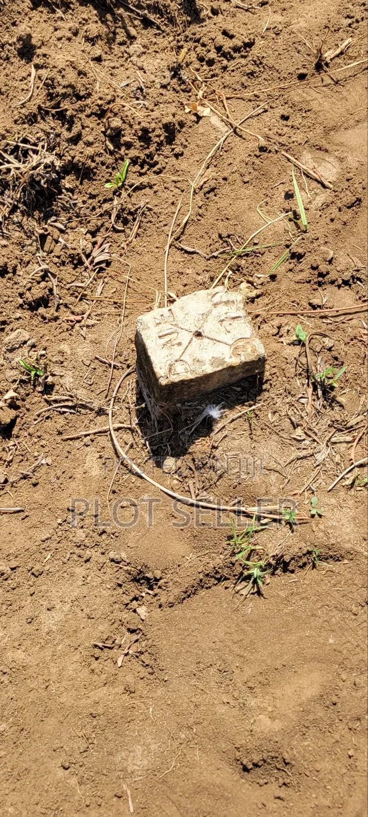 Plots for Sale Mbutu Amani Gomvu
