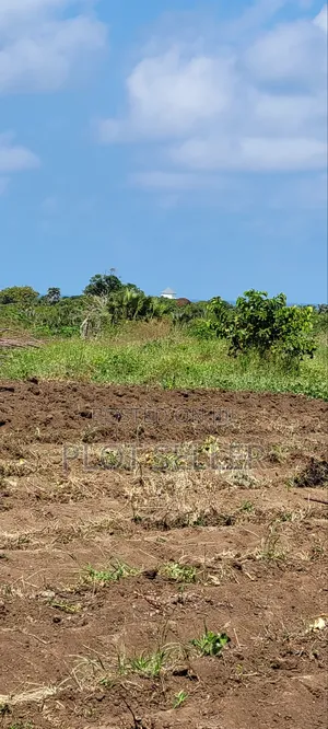 Plots for Sale Mbutu Amani Gomvu
