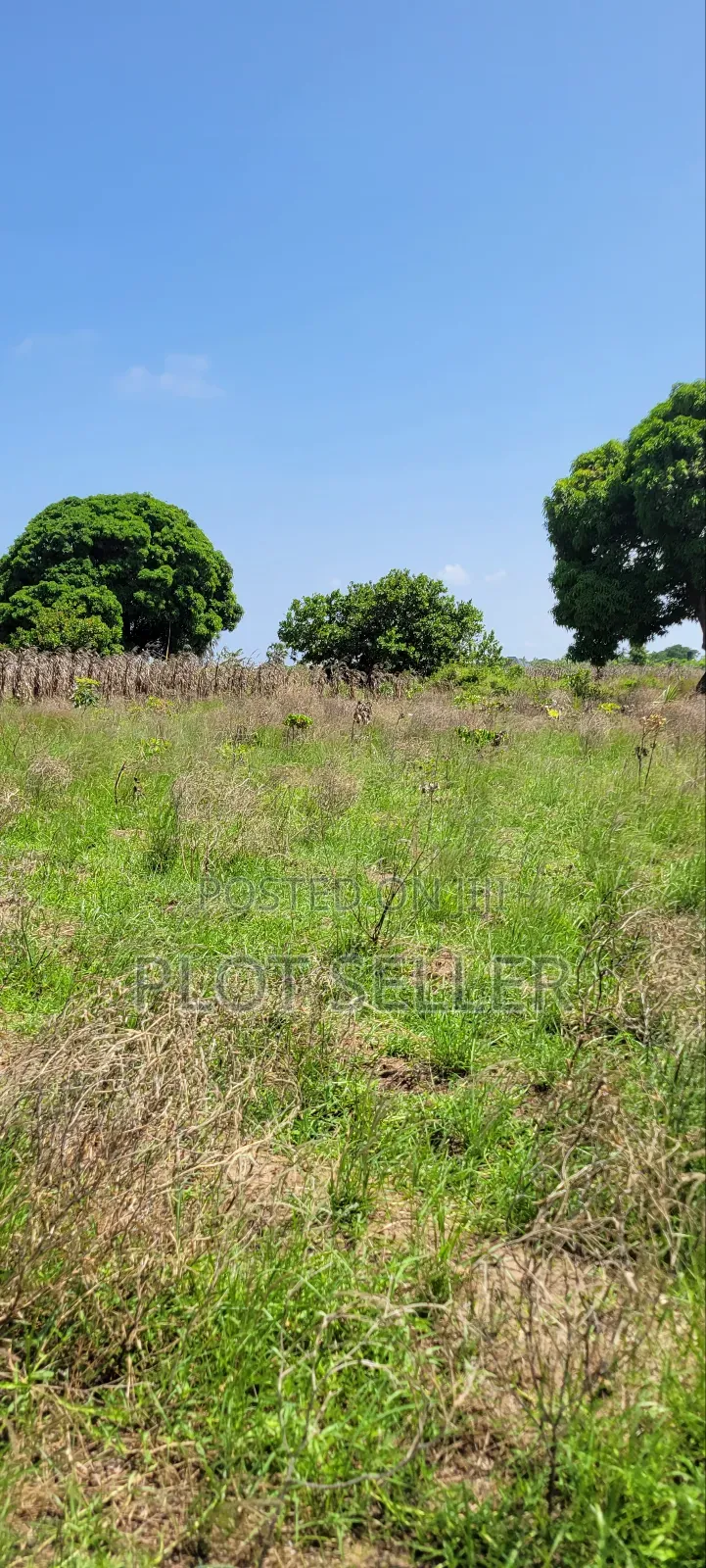 Plots for Sale Mbutu Amani Gomvu
