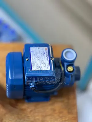 Pedrollo Water Pump 0,5hp