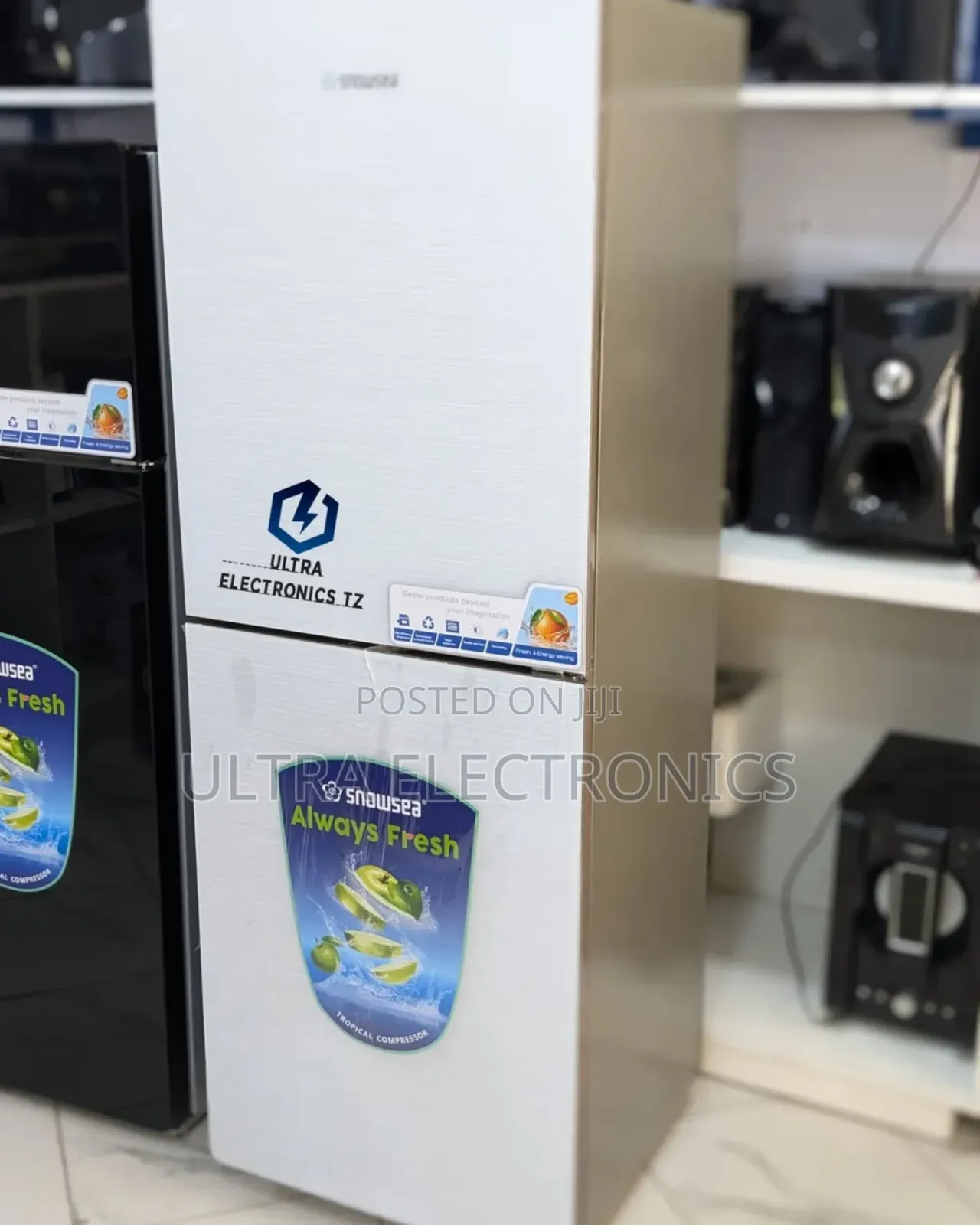 Snowsea Fridge With Botton Freezer (Combi Fridge)
