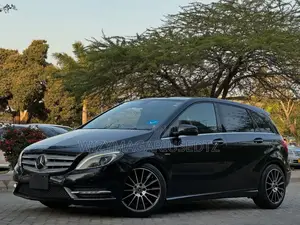 Mercedes-Benz B-Class 2013 Matt Black