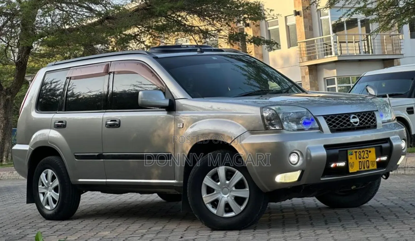 Nissan X-Trail 2006 Gray