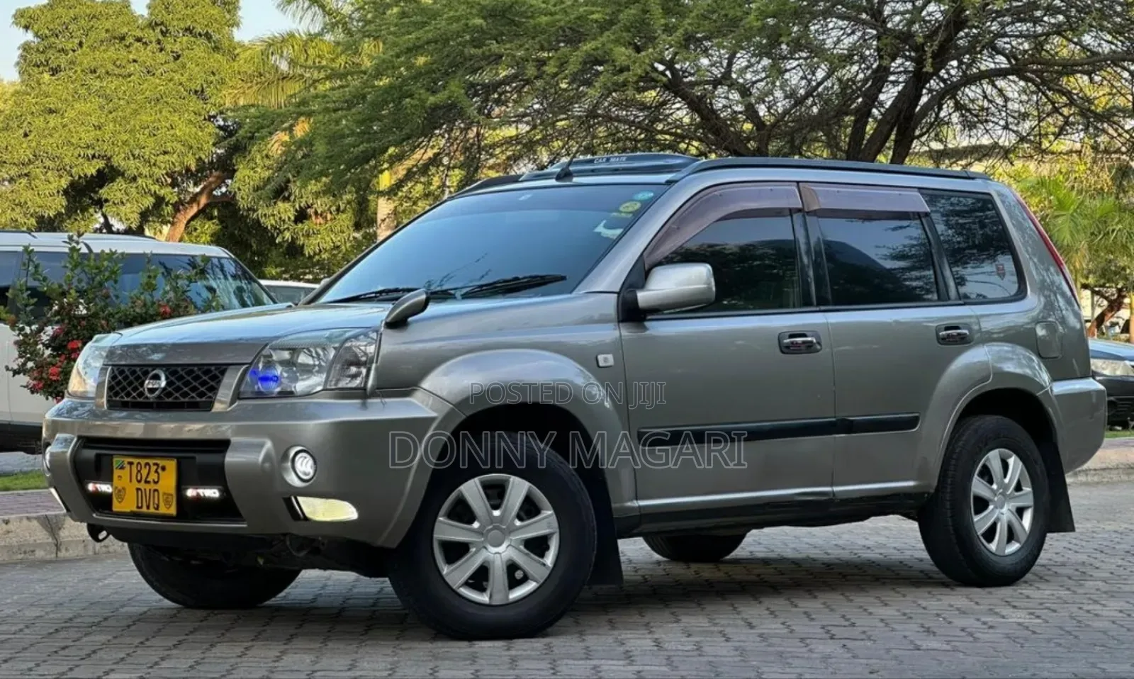 Nissan X-Trail 2006 Gray
