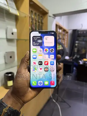 Apple iPhone 13 Pro 256 GB Gray