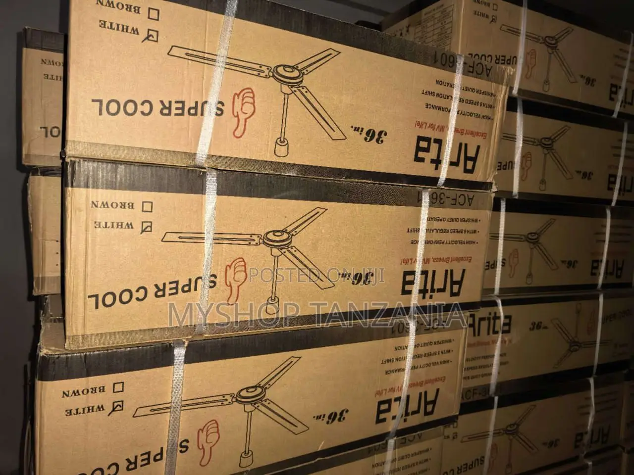 Arita Ceiling Fan Size 36 Fan Pangaboy