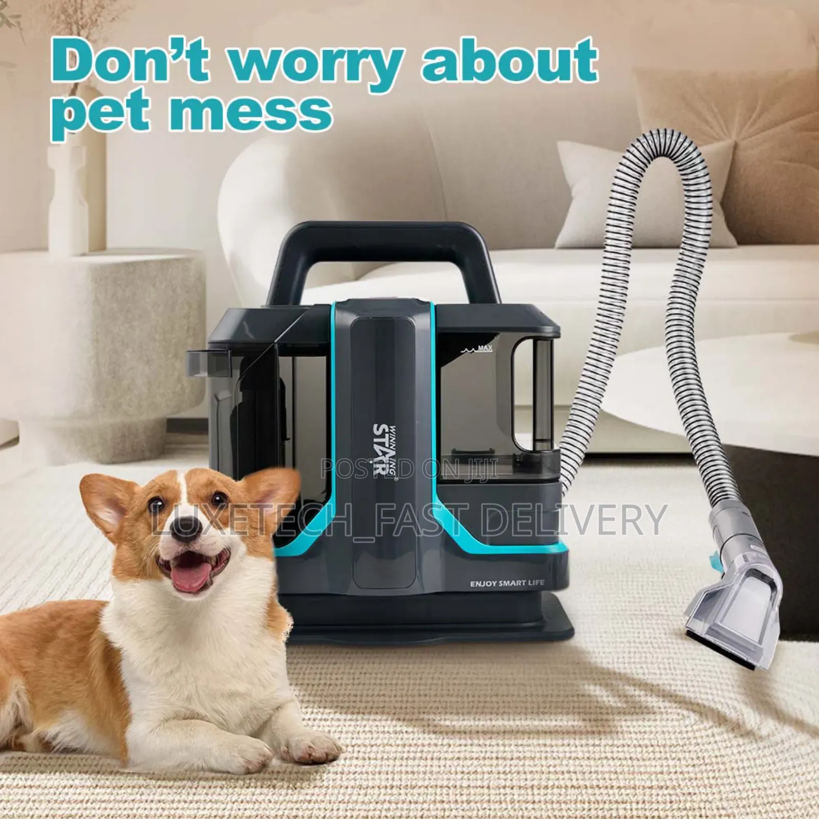 Winning Star Handheld Carpet and Sofa Spot Cleaner
