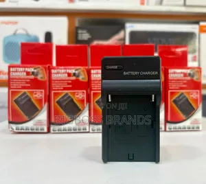 Video Battery Charger