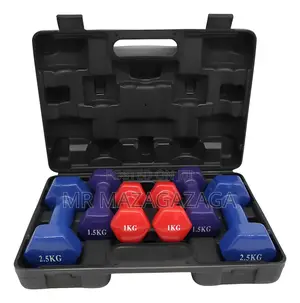 10kg Fitbell Dumbbell Set