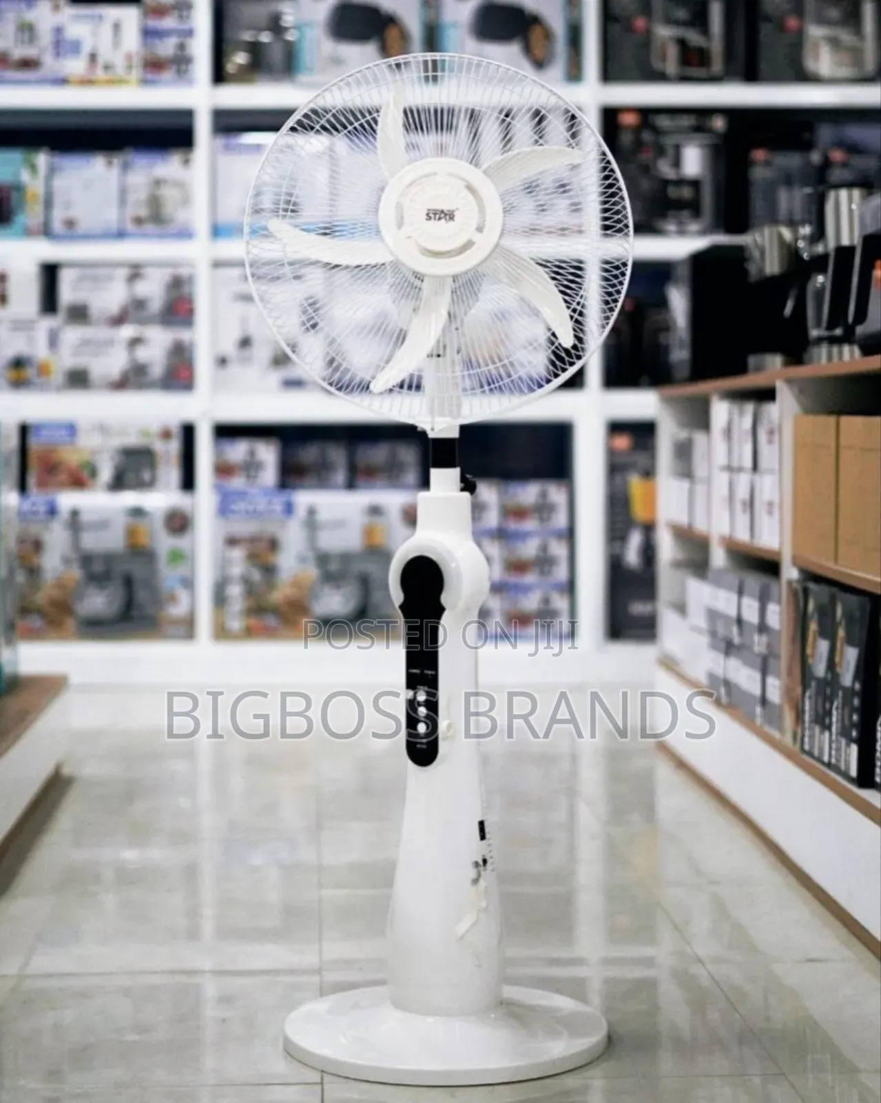 Winning Star Rechargeable Floor Fan