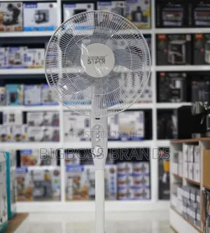 Winning Star Electric Floor Fan