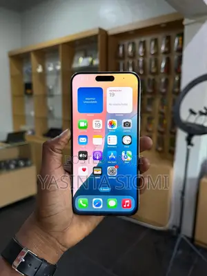 Apple iPhone 15 Pro Max 256 GB Gray