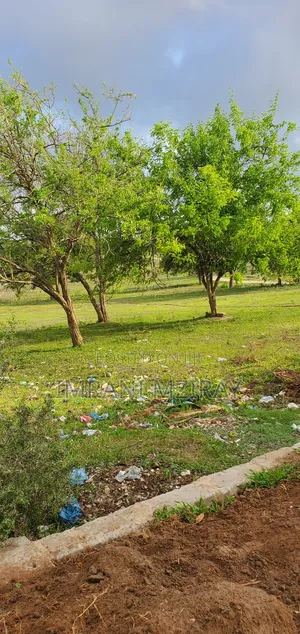 6bdrm House in Masaki for rent