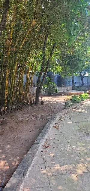 6bdrm House in Masaki for rent