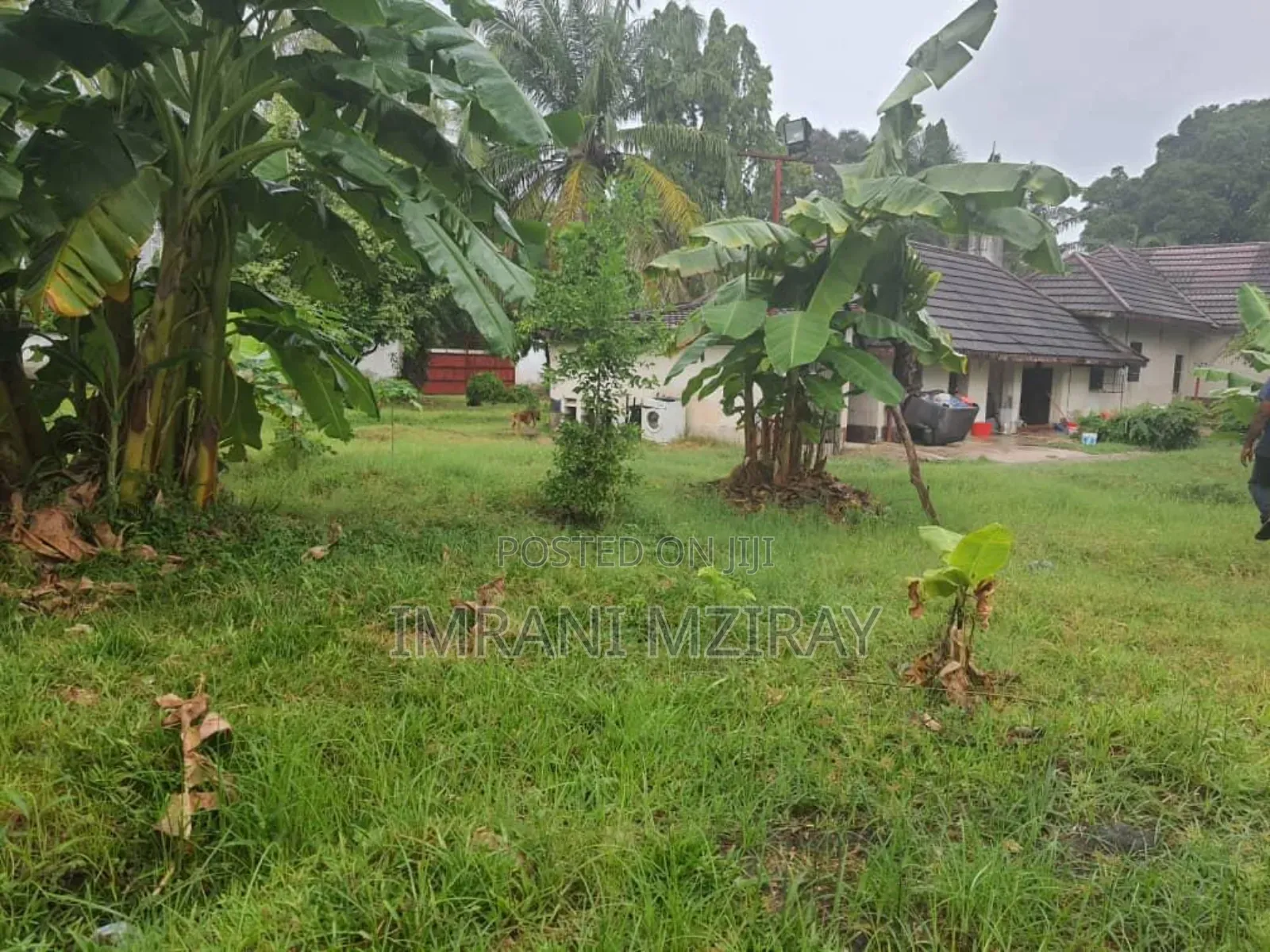 12bdrm House in Masaki for rent