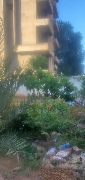 12bdrm House in Masaki for rent