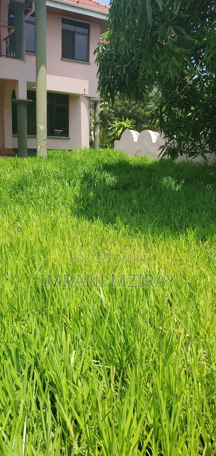 8bdrm House in Mikocheni for rent