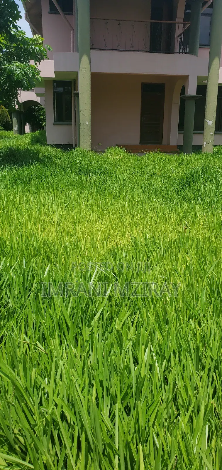 8bdrm House in Mikocheni for rent