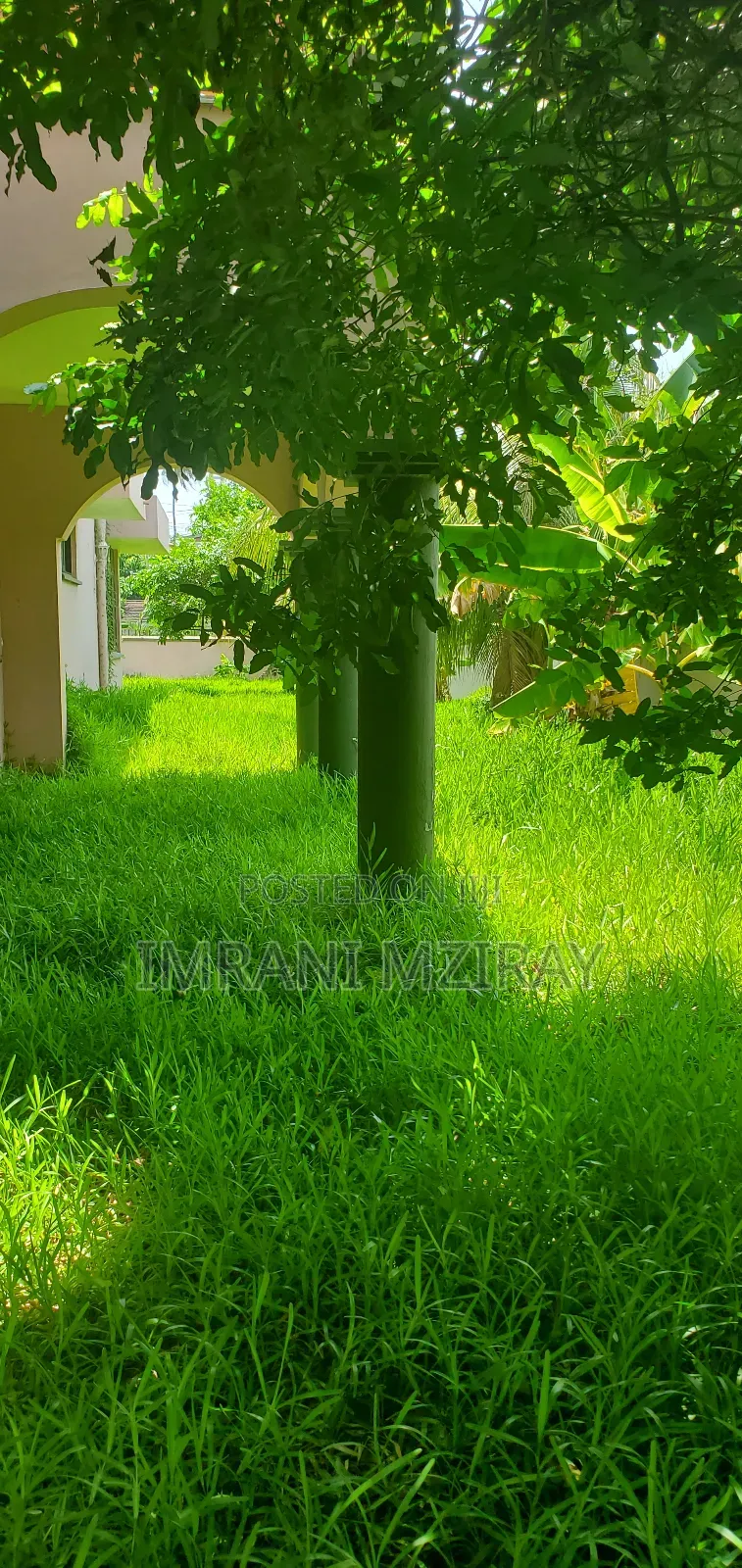 8bdrm House in Mikocheni for rent