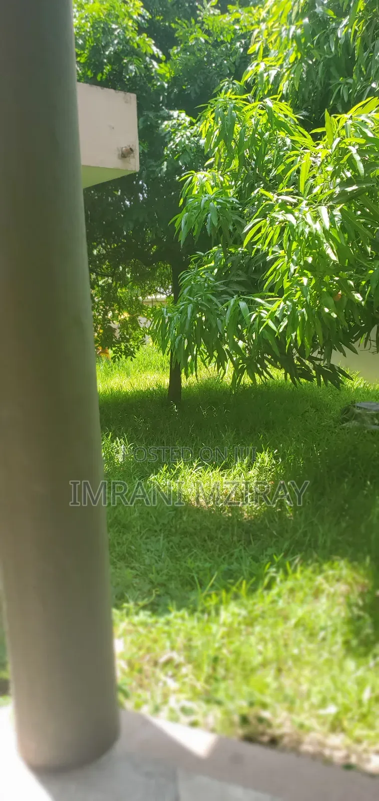 8bdrm House in Mikocheni for rent