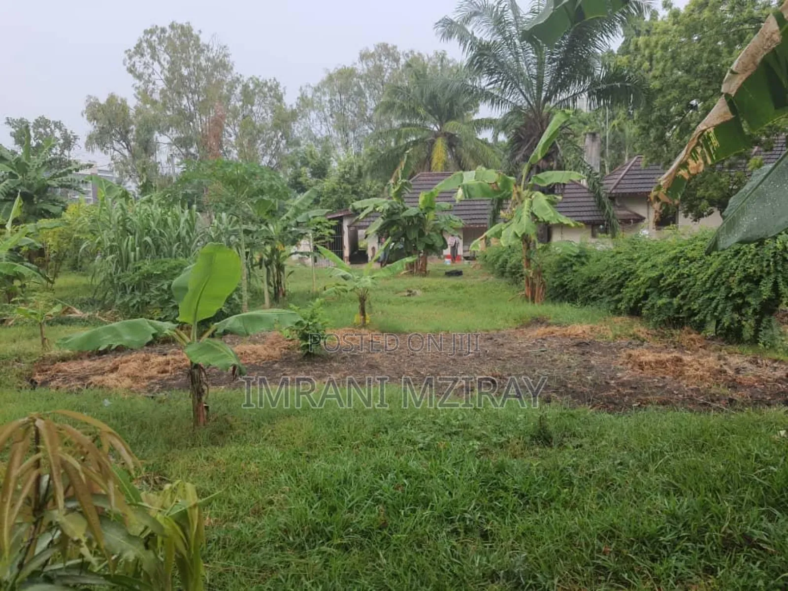 8bdrm Bungalow in Mikocheni for rent