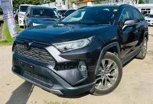 Toyota RAV4 2019 Burgundy