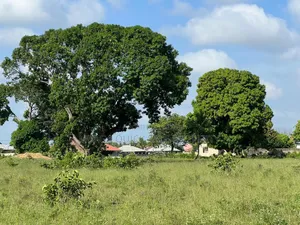 Plot With 11 Acres for Sale at Kivumbi Tifu Mwambani Tanga