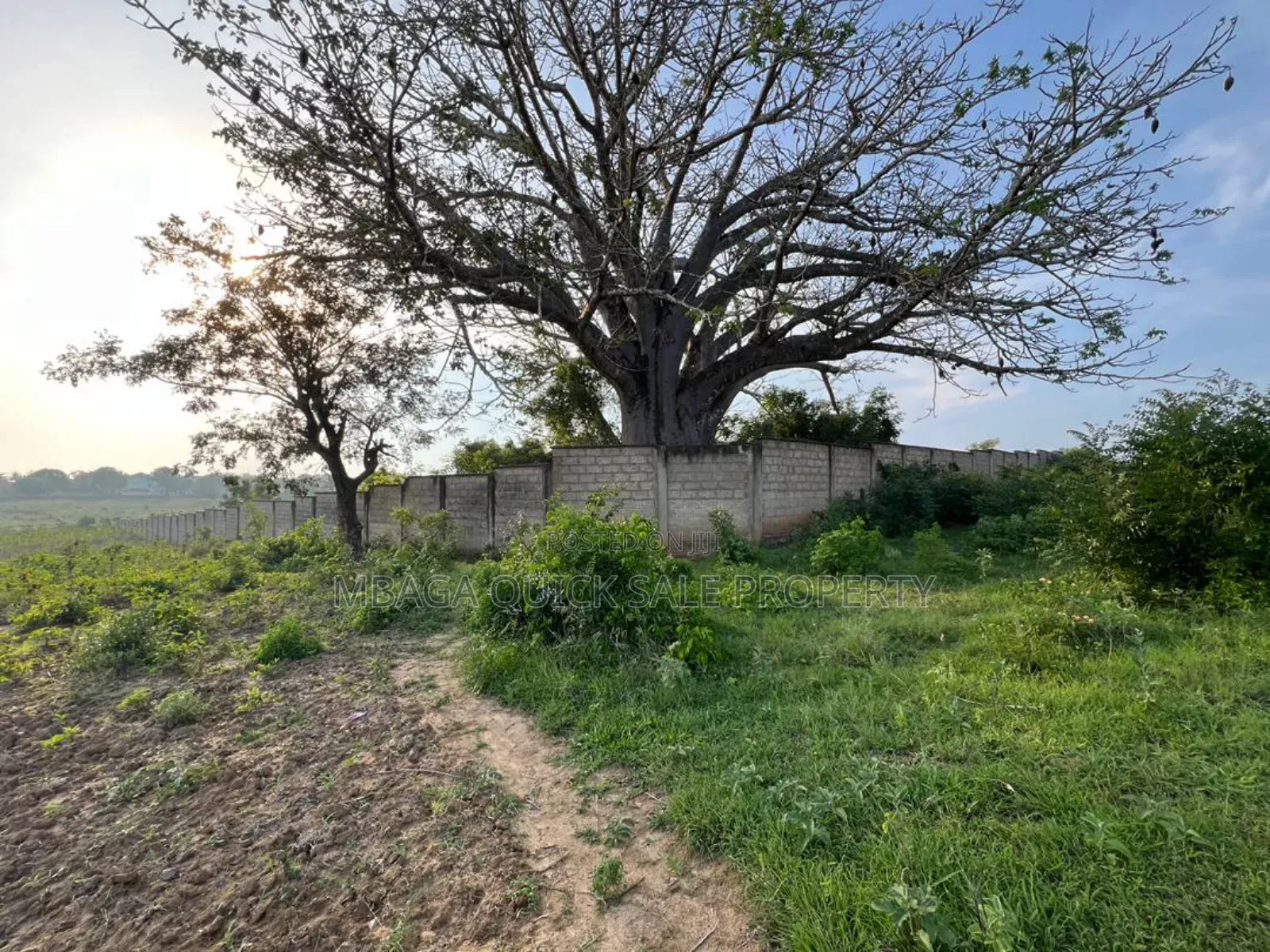 Plot With 11 Acres for Sale at Kivumbi Tifu Mwambani Tanga