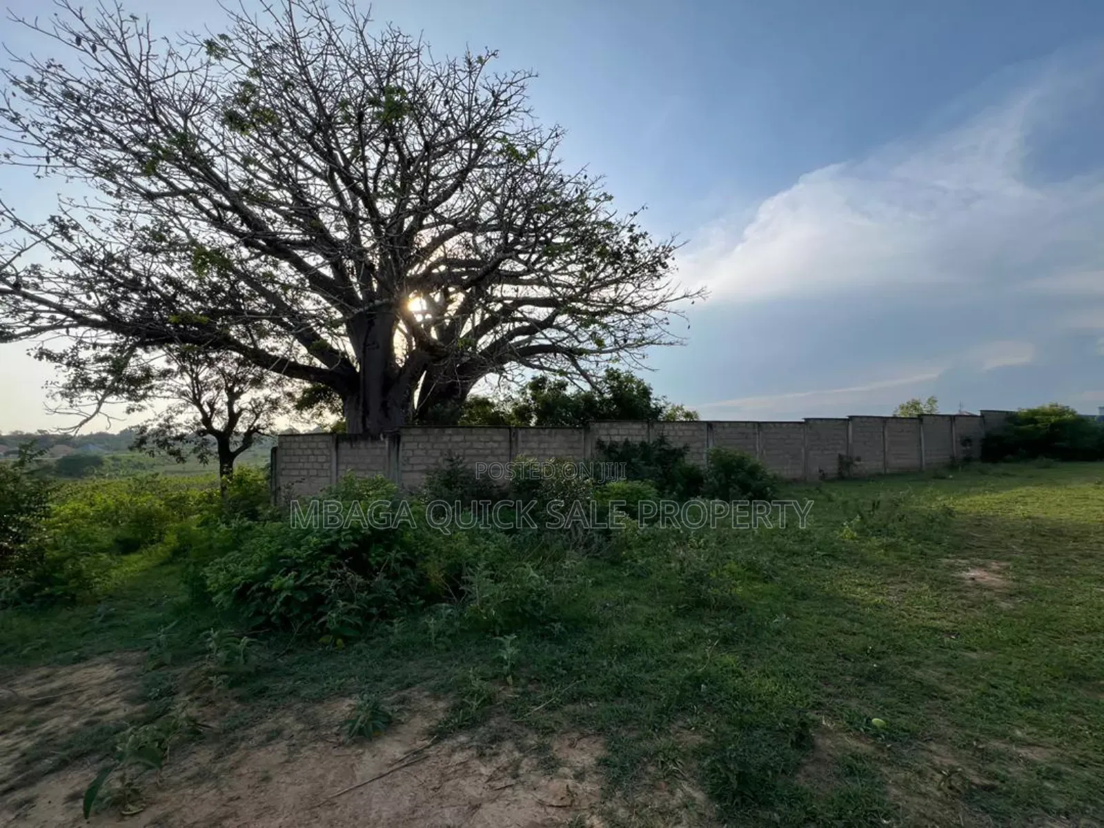 Plot With 11 Acres for Sale at Kivumbi Tifu Mwambani Tanga