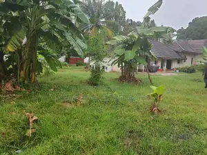 Plot for Sale Uporoto Morocco