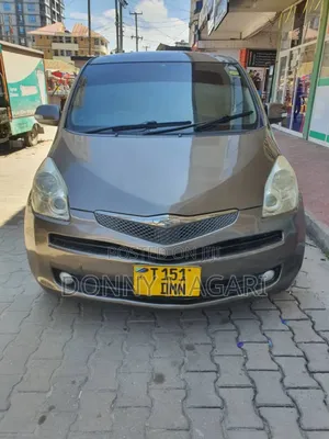 Toyota Ractis 2008 Gray